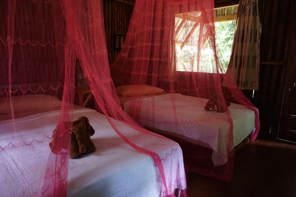Khao Sok Jungle Resort Khao Sok National Park Quarto foto