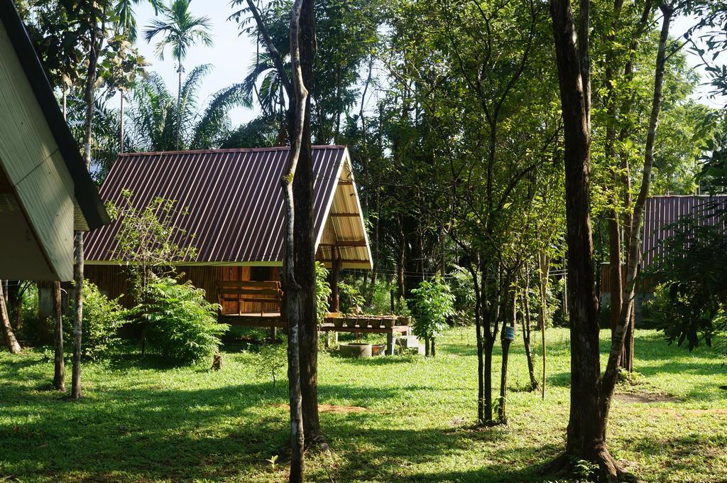 Khao Sok Jungle Resort Khao Sok National Park Quarto foto