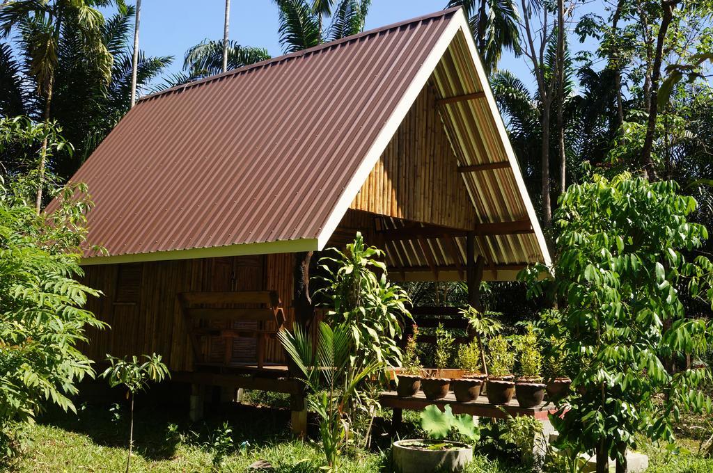 Khao Sok Jungle Resort Khao Sok National Park Quarto foto