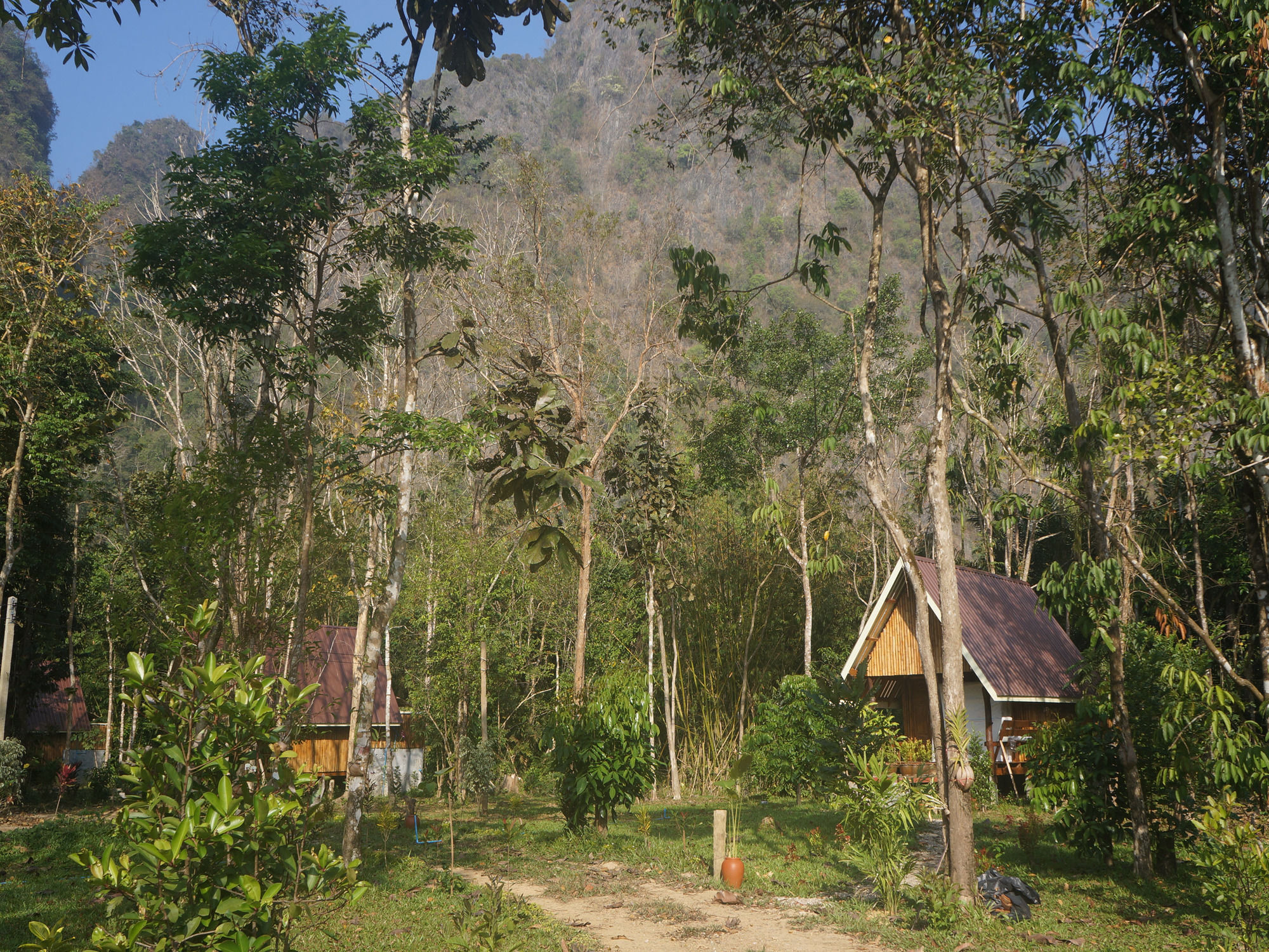 Khao Sok Jungle Resort Khao Sok National Park Exterior foto